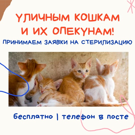 Изображение.jpeg