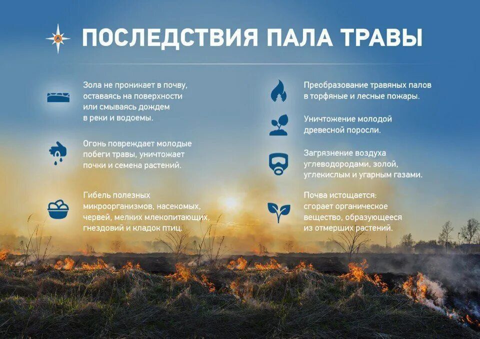 WhatsApp Image 2023-04-12 at 12.55.57.jpeg