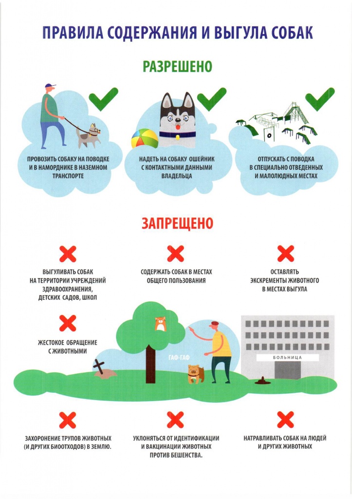 Правила содержания и выгула собак.jpg