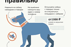 Правила содержания собак и кошек в г.Москве.