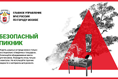 Безопасный пикник