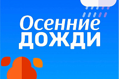 Осенние дожди